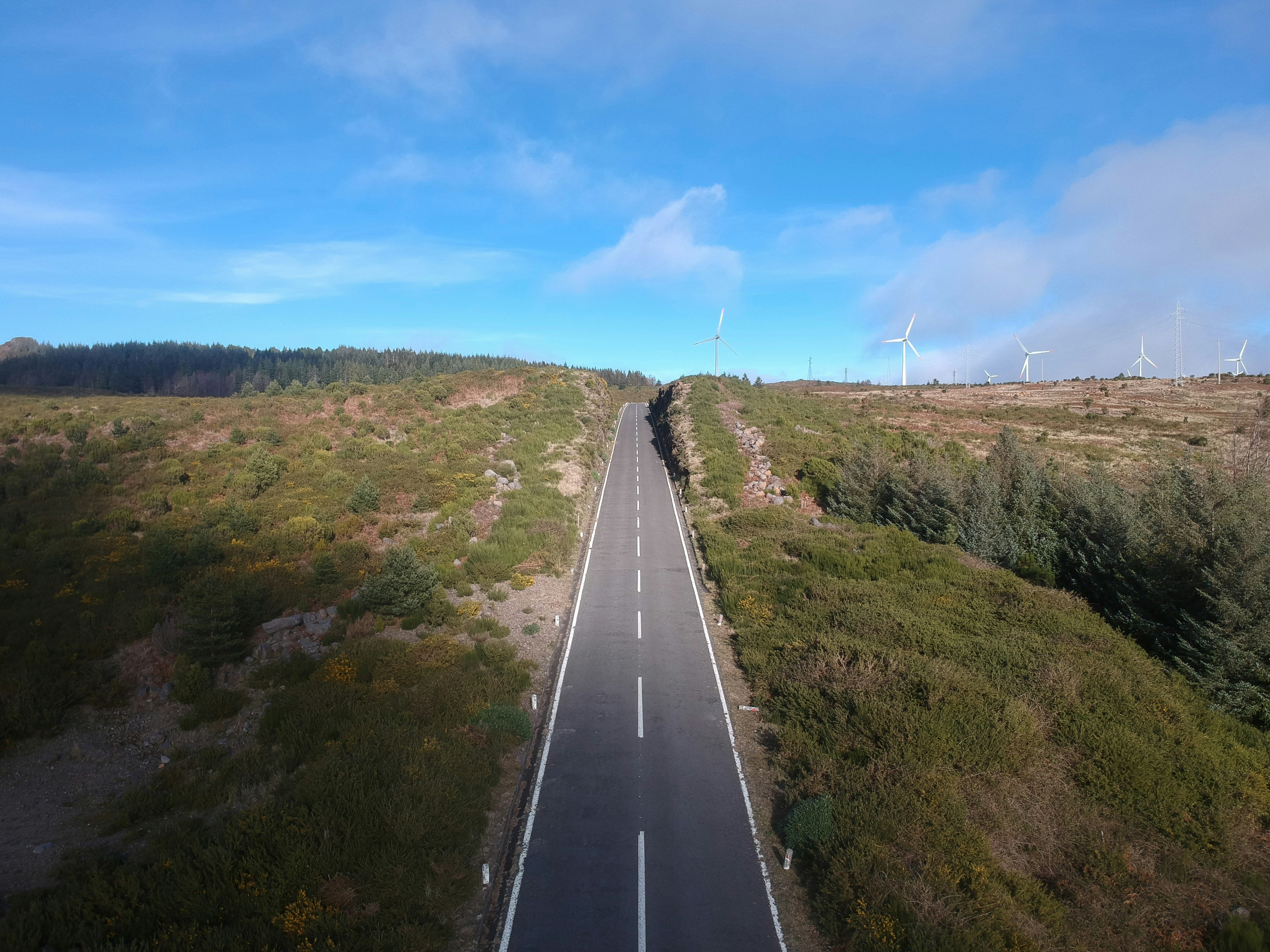 gray asphalt road between green grass field under blue sky during daytime